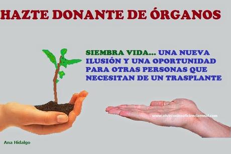 Día Nacional del Donante