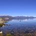 Los glaciares Moreno y Upsala desprenden continuamente en el Lago Argentino sus témpanos.