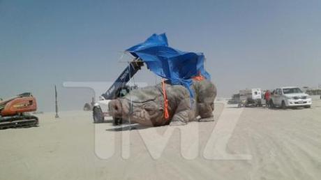 Galería Episodio VII 1