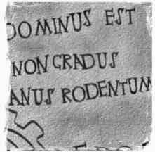 De lengua de élite a lengua de campesinos