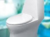 ¿Qué tipo inodoro debes elegir?