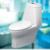 ¿Qué tipo  de inodoro debes elegir?