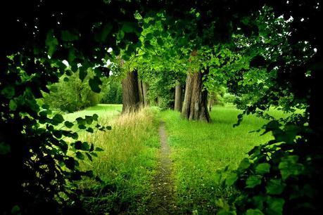 http://themes.googleusercontent.com/image?id=1M-C2rHwLzLDZGoh3qbWZ6sde9R5UC4jZcYt-QoyO1RyATwD6rQGlARx_UmuMWy_AlUTn