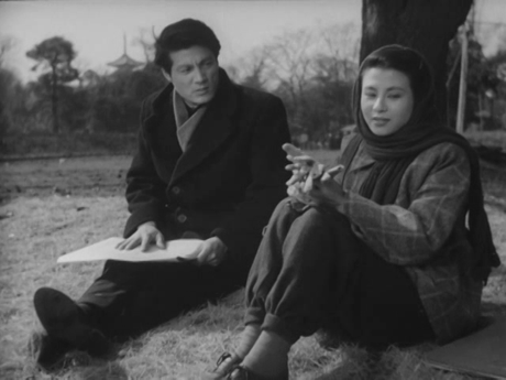 LA LUCIÉRNAGA Y EL NIÑO