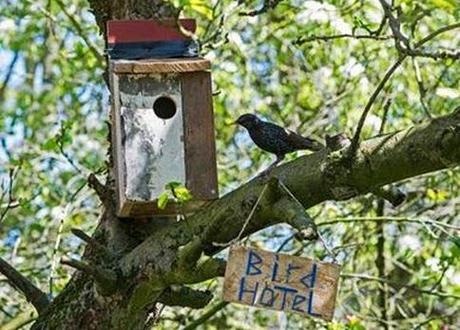 Aún a tiempo de colgar cajas-nido