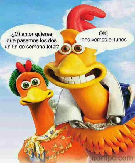 instagram trendy u blog de tendencias de moda y belleza