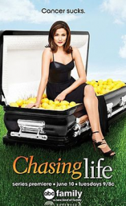 chasing life-www.desvariosvarios.com