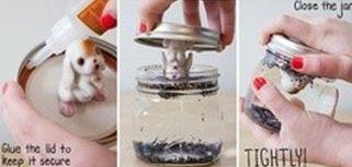 Cómo hacer una bola de nieve de cristal Cómo hacer una bola de nieve de cristal