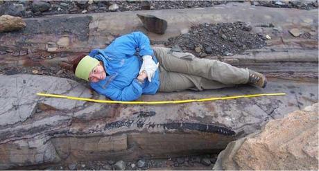 fósil de ictiosaurio bajo glaciar Tyndall, Chile