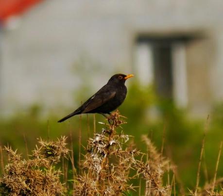 Cuando comienza junio