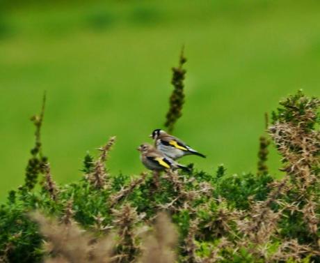 Cuando comienza junio