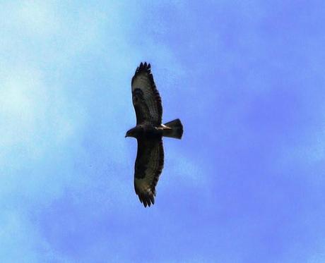 Cuando comienza junio