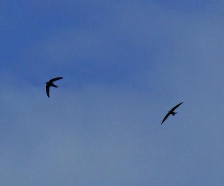 Cuando comienza junio