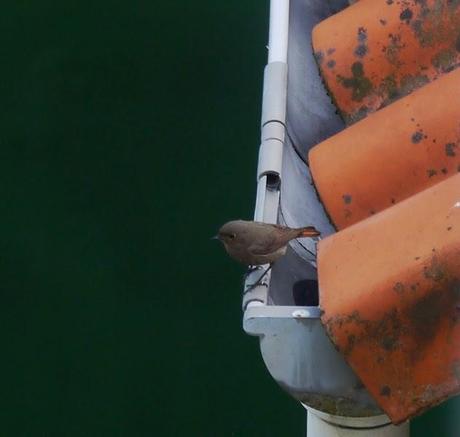 Cuando comienza junio