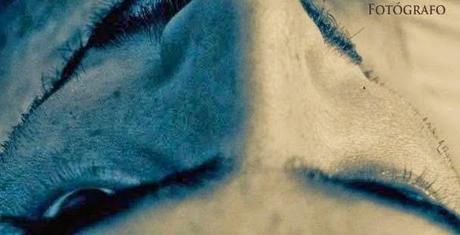 ENTREVISTA: JESUS MAYORGA (FOTÓGRAFO)