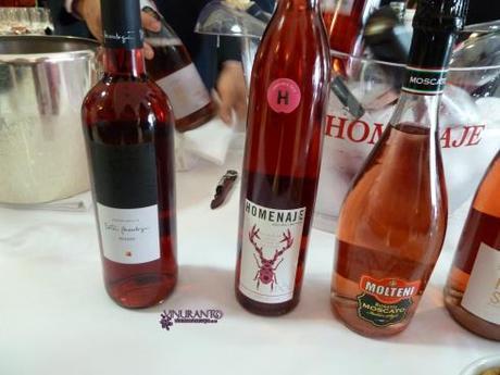 Martin Berasategui, Homenaje de España, Molteni (Italia) y Rosa de Argentina (Argentina)