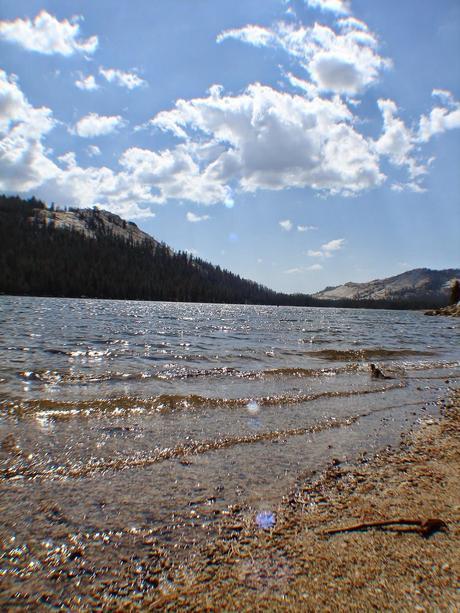 Parque de Yosemite