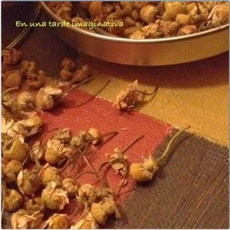 Hoy compartimos:un té Hoy compartimos:un té