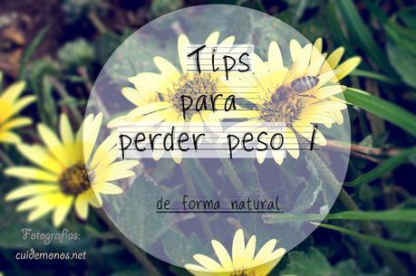 Tips para perder peso