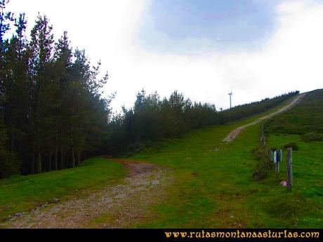 Ruta Llan de Cubel y Cueto: Entrando en el pinar