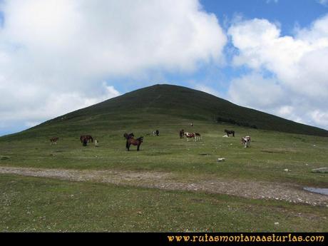 Ruta Llan de Cubel y Cueto: Último tramo a la cima del Llan de Cubel