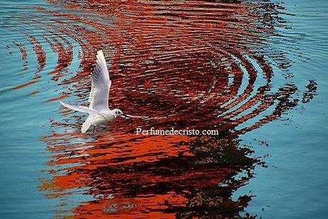 1438661765_9350c7dfe0