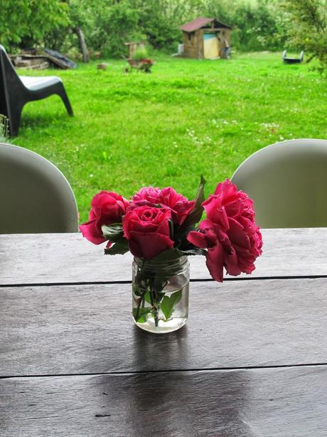 Hoy me gusta..... levantarme y ver flores.