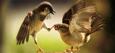 Resuelve Comentarios o Discusiones Desagradables de Forma Efectiva en 4 Pasos Resuelve Comentarios o Discusiones Desagradables de Forma Efectiva en 4 Pasos