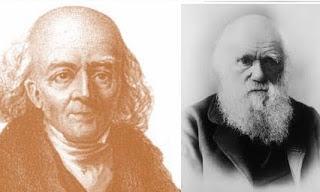 7 Razones para no creer en la homeopatía