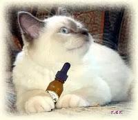 7 Razones para no creer en la homeopatía