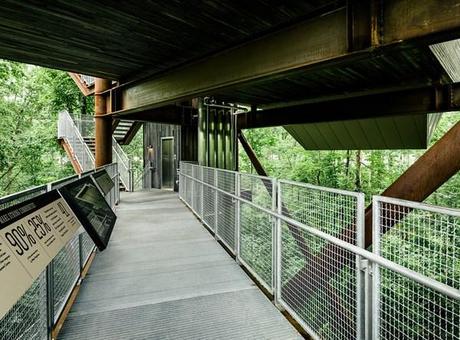 9 casa del árbol sostenible