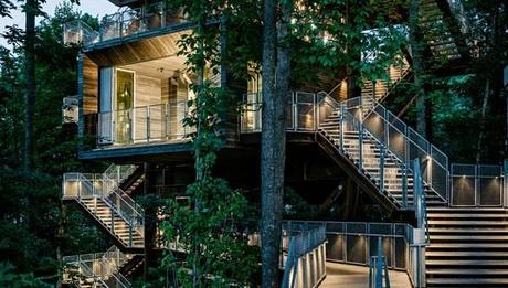 1 casa del árbol sostenible boy scouts