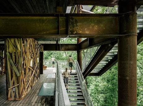 6 casa del árbol sostenible