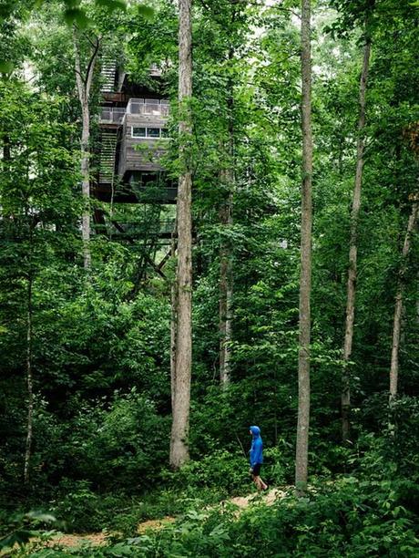4 casa del árbol sostenible boy scouts