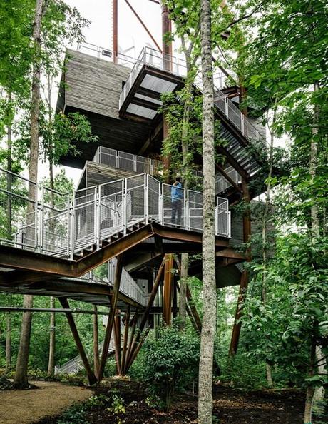 3 casa del árbol sostenible boy scouts