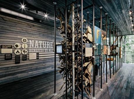 10 casa del árbol sostenible