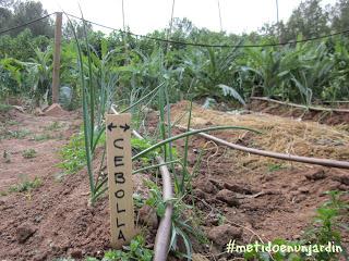 Metido en un huerto (III)