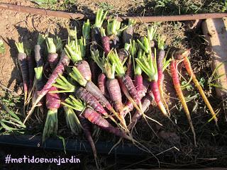 Metido en un huerto (III)