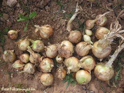 Metido en un huerto (IV)