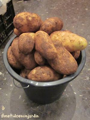 Metido en un huerto (IV)