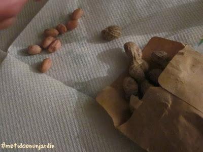 Metido en un huerto (IV)