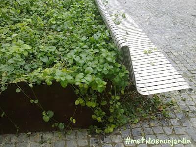 El Parque de la Cultura