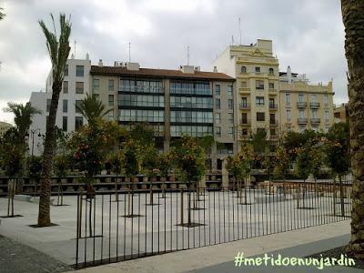 El Parque de la Cultura