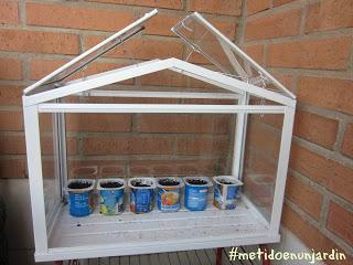 Cómo preparar los semilleros