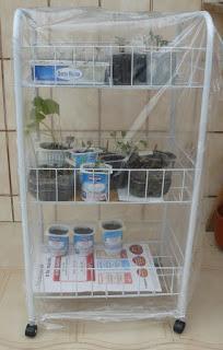 Cómo preparar los semilleros