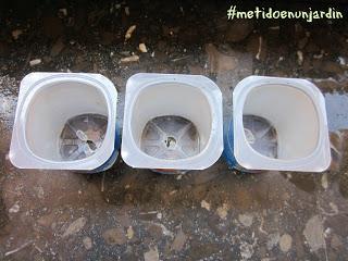 Cómo preparar los semilleros