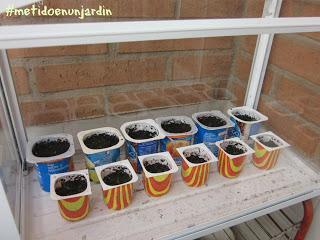 Cómo preparar los semilleros