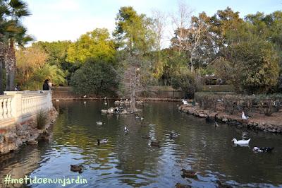 El Parc de la Pinada