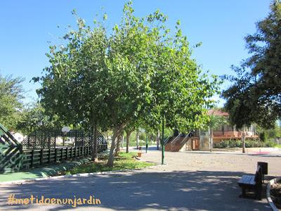 El parque Ausias March