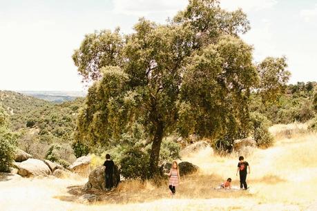 Día de Campo con... Oh! My Cake